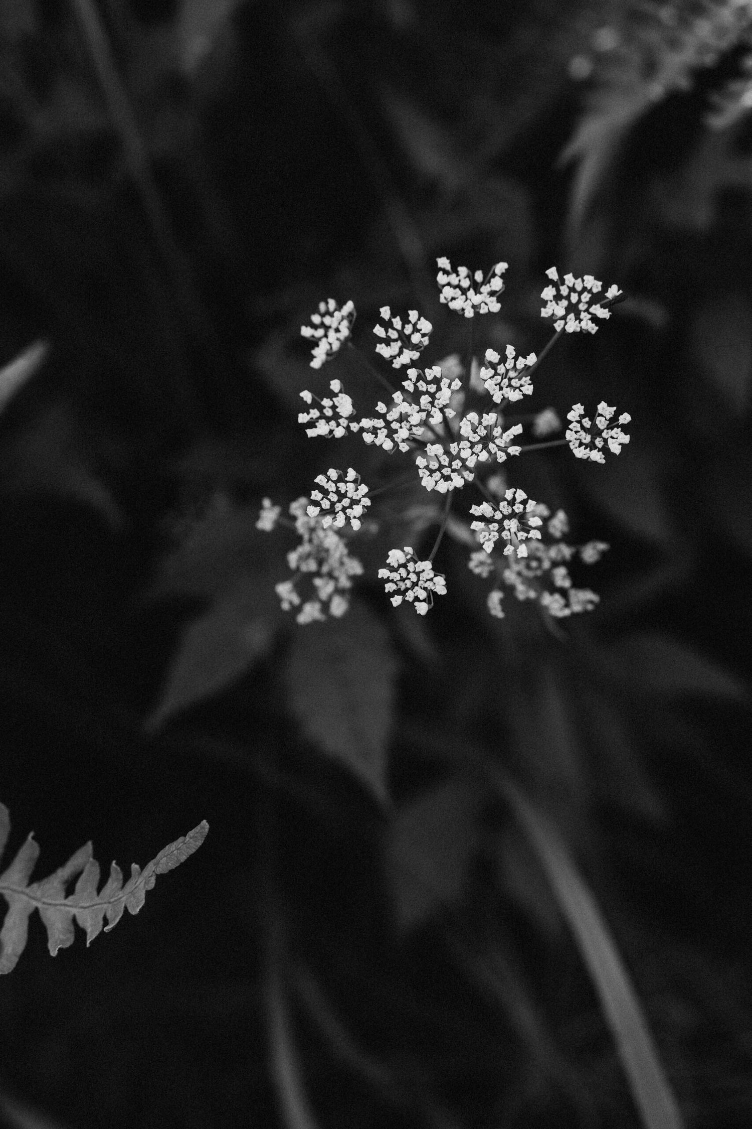 Holding on to Summer