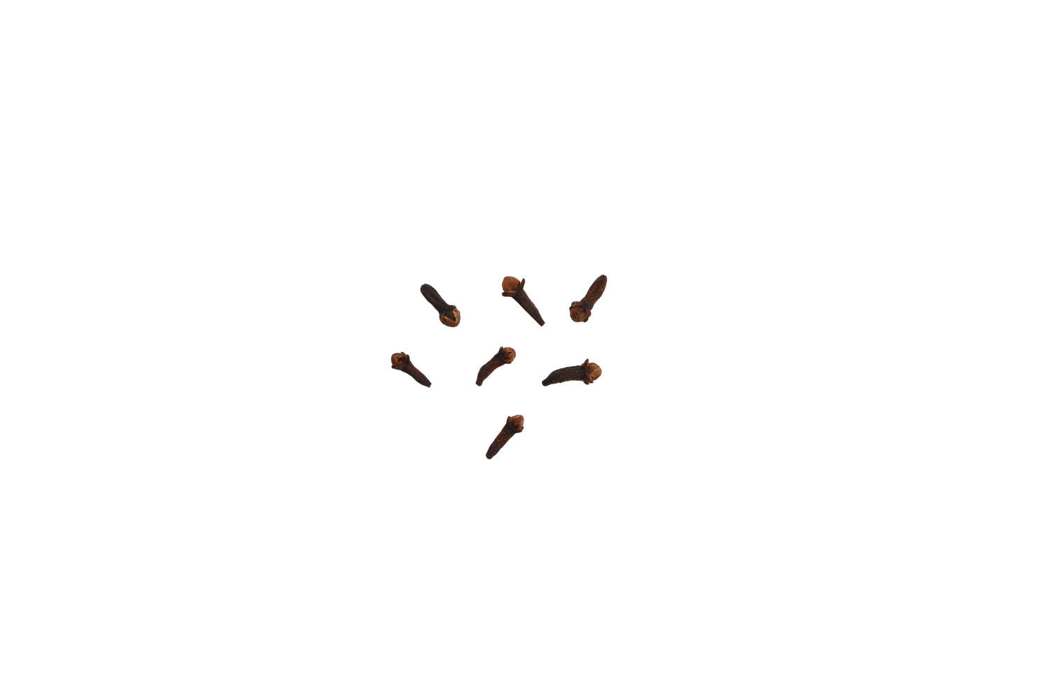 Clove Bud Essential Oil