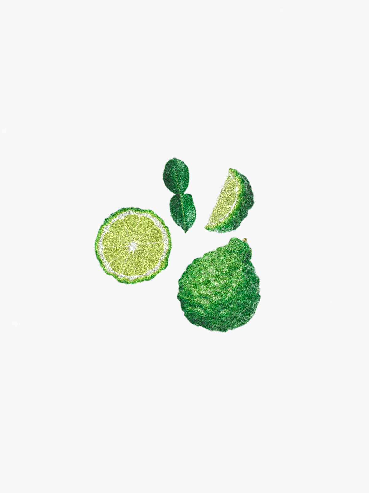 Bergamot