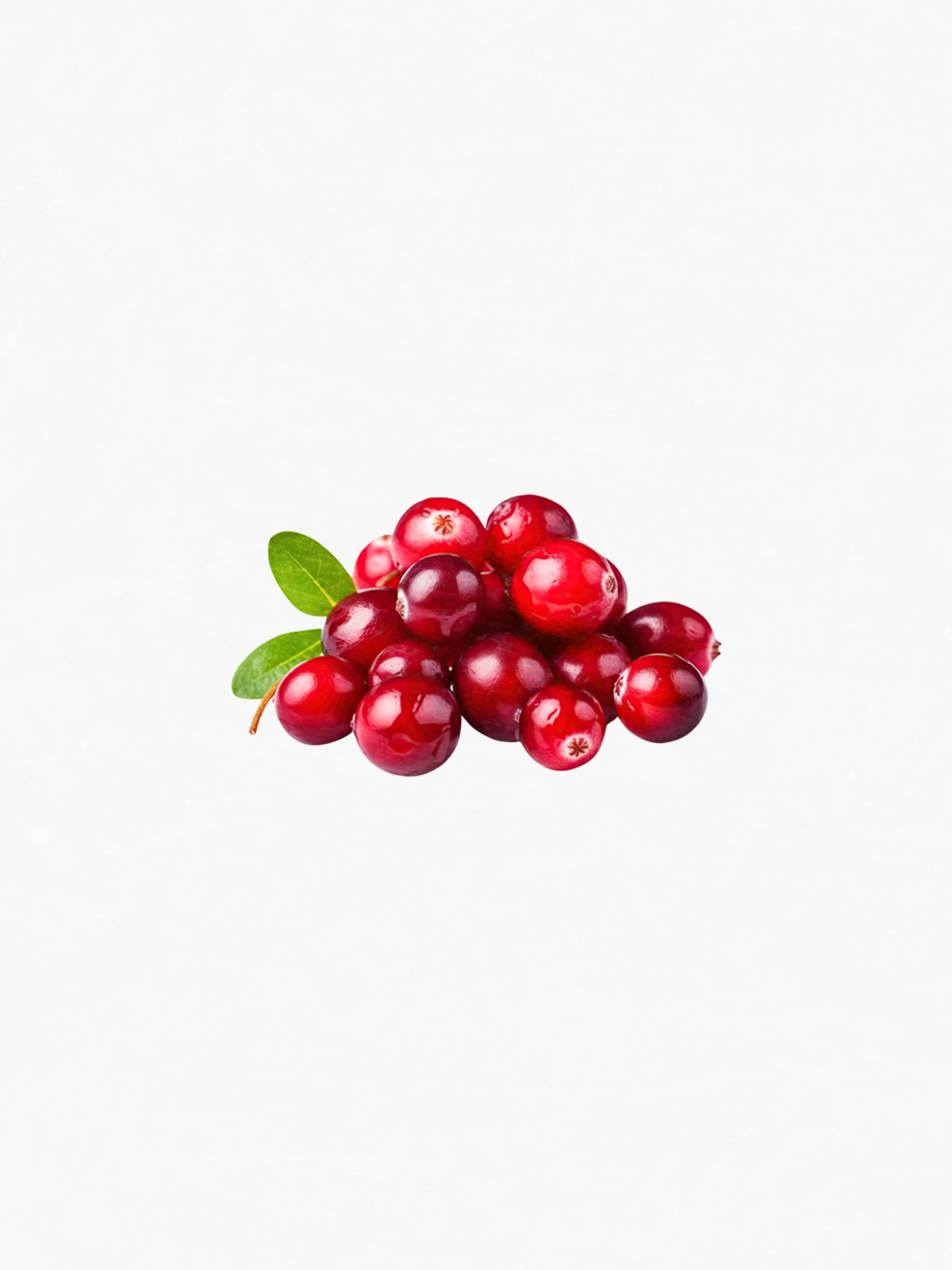 Cranberry