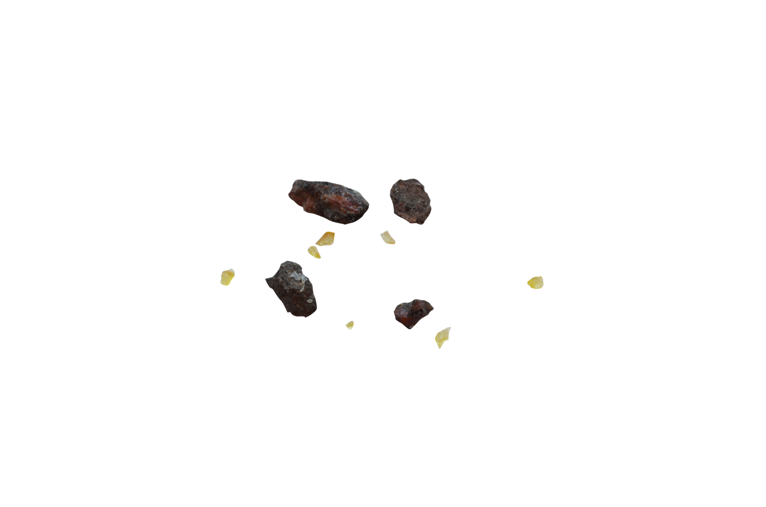 Spruce Resin