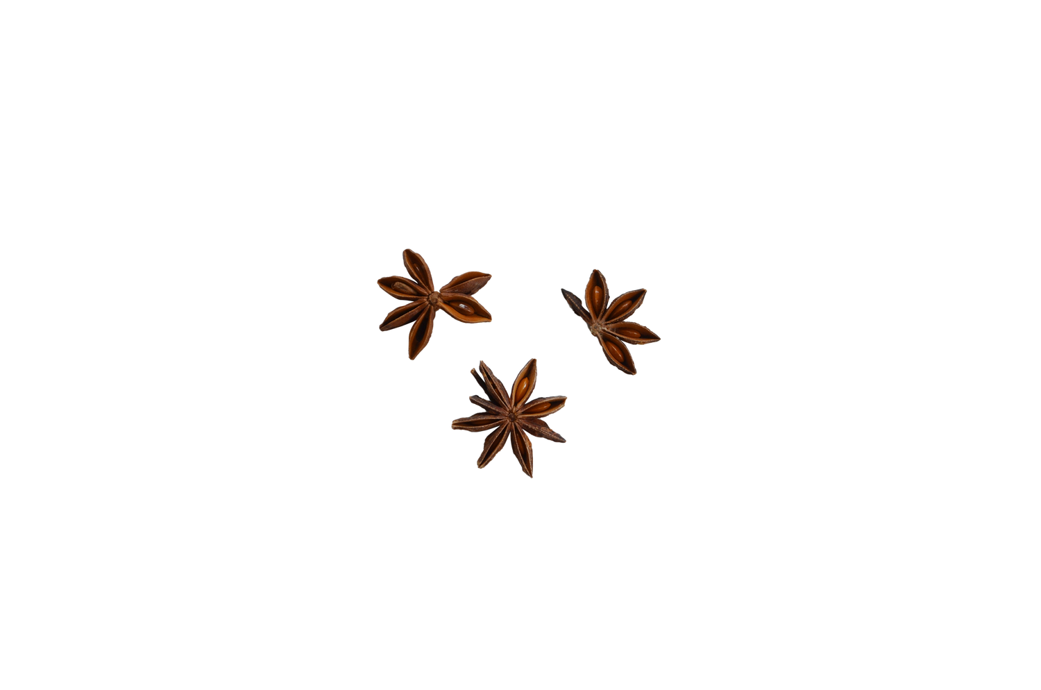 Star Anise Essential Oil