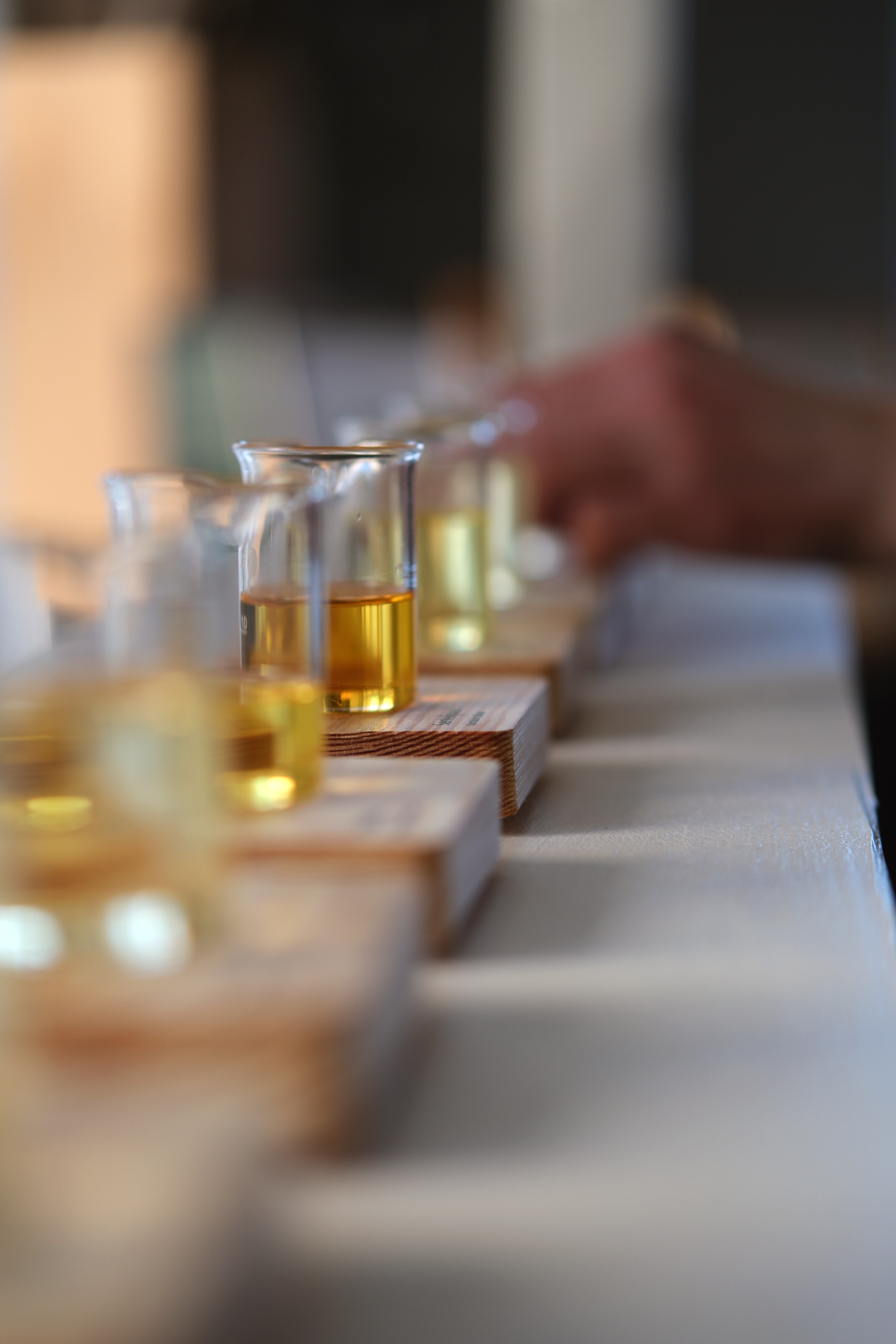 To 12.2. klo 17-18.30