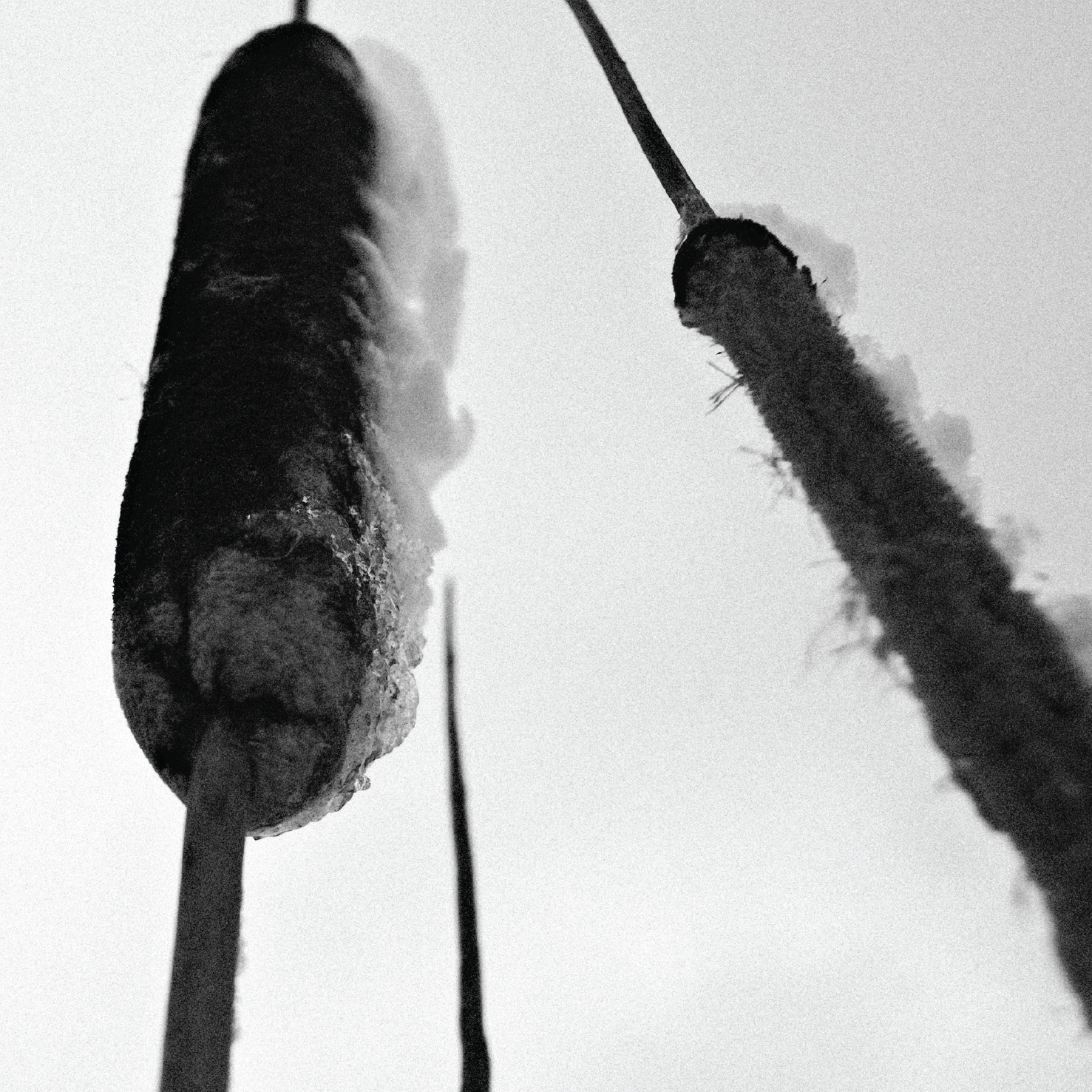 Archipelago Gift Set