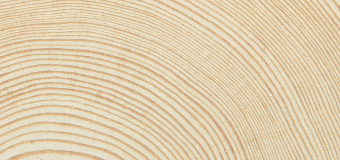 pine