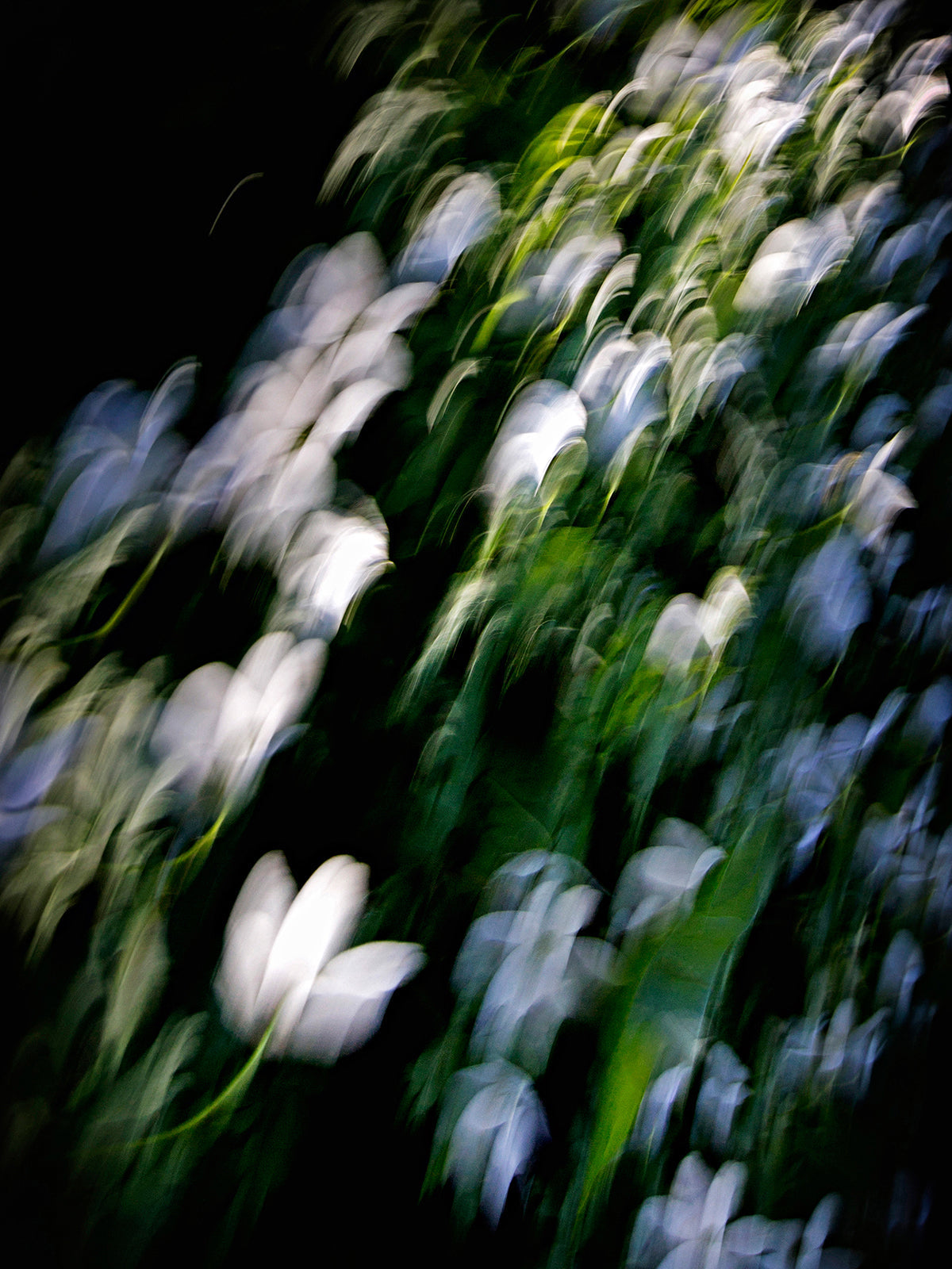 Scent Profile Floral - Hetkinen