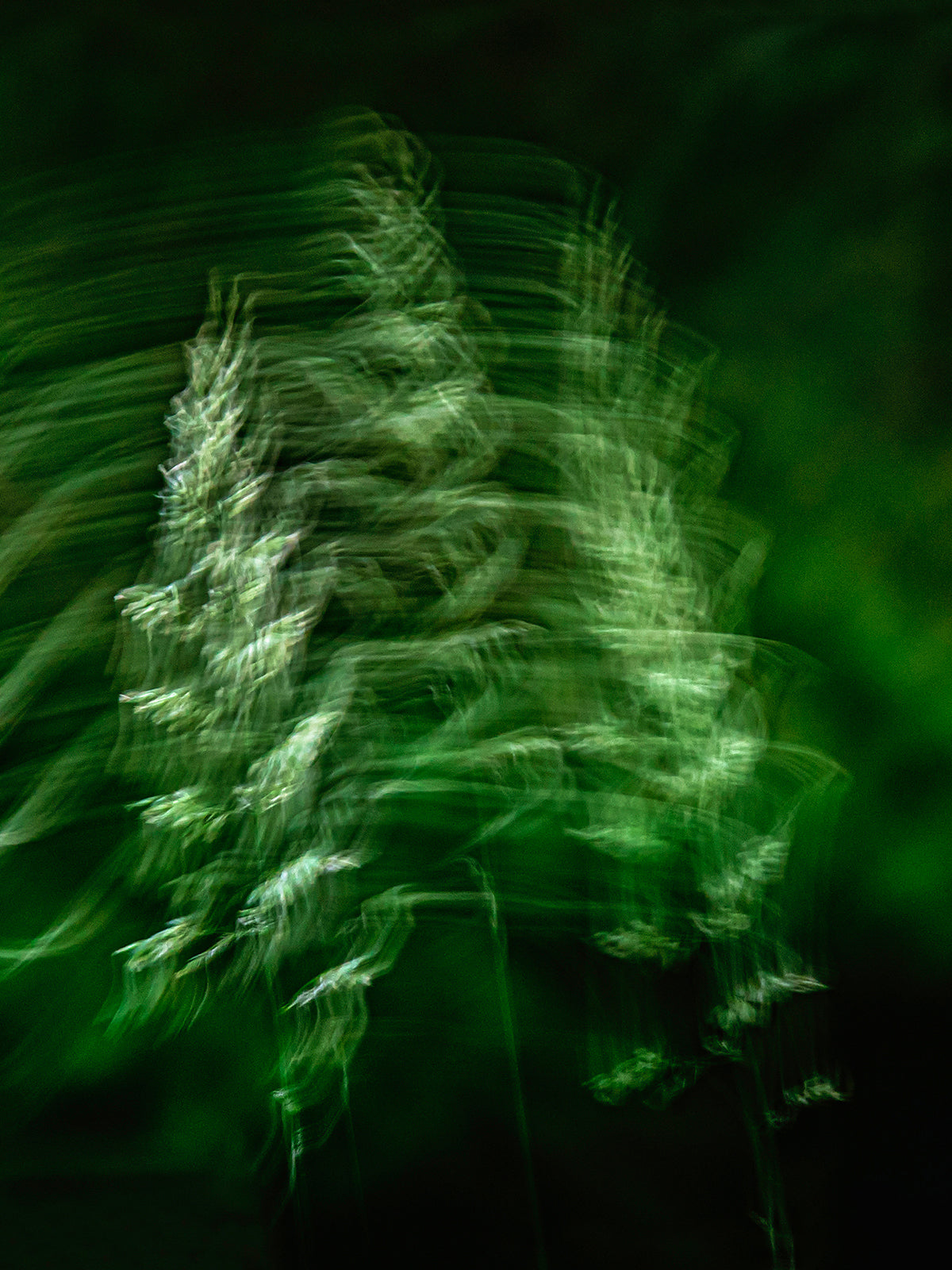 Scent Profile Green - Hetkinen