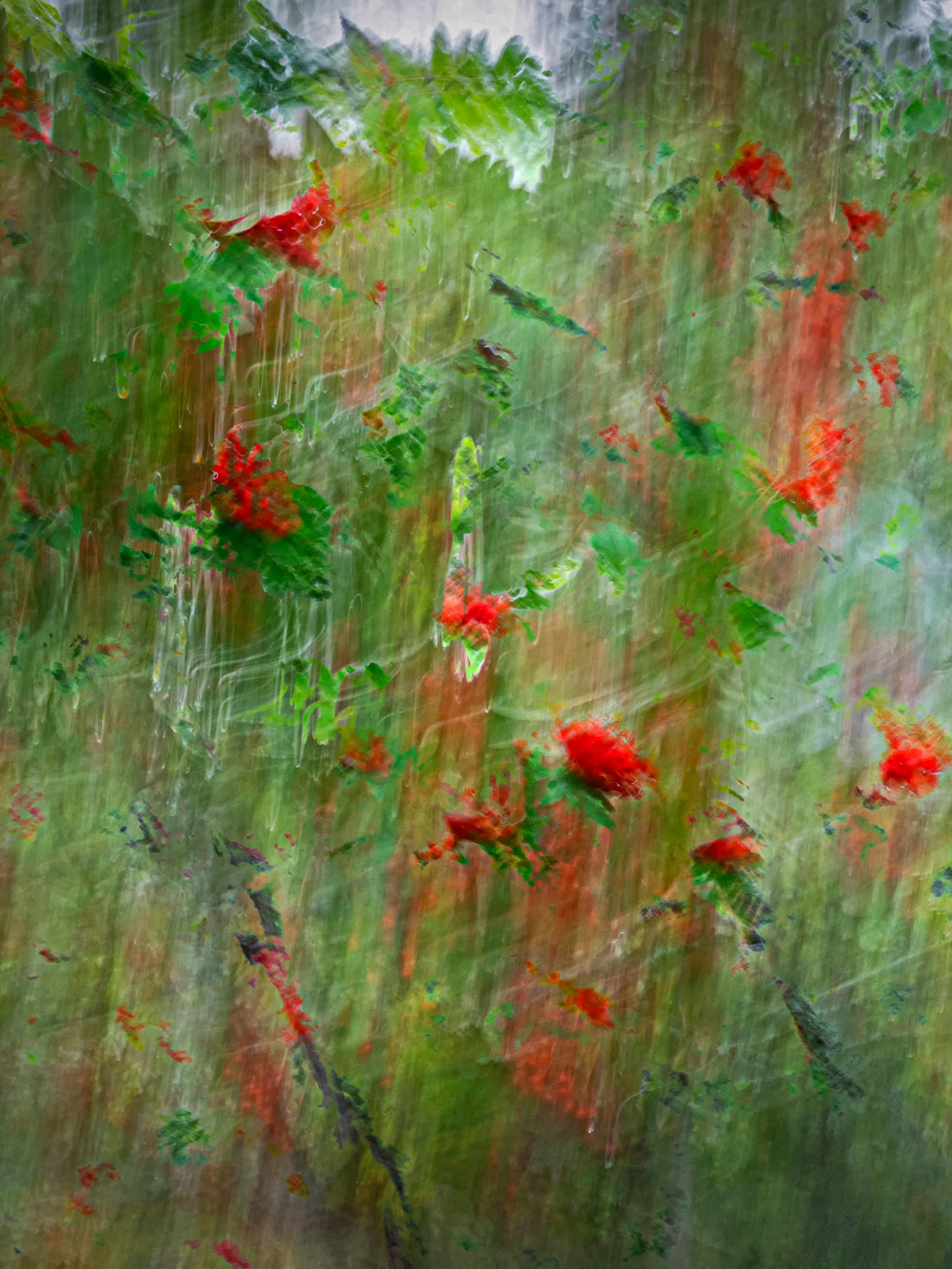 Scent Profile Spicy - Hetkinen