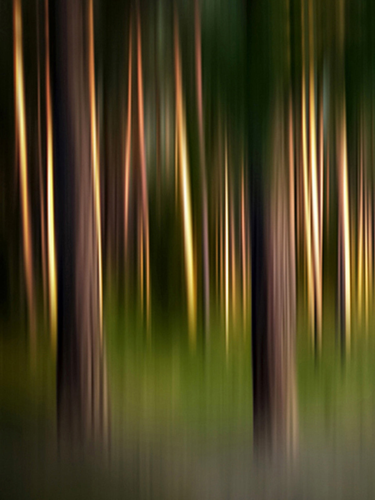 Scent Profile Woody - Hetkinen