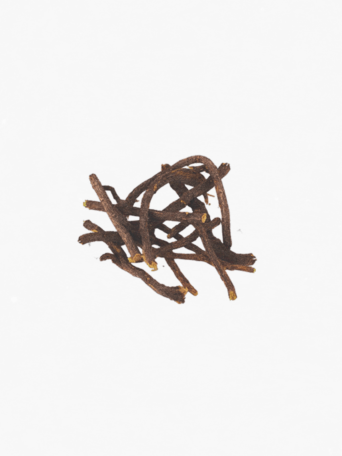 Licorice root
