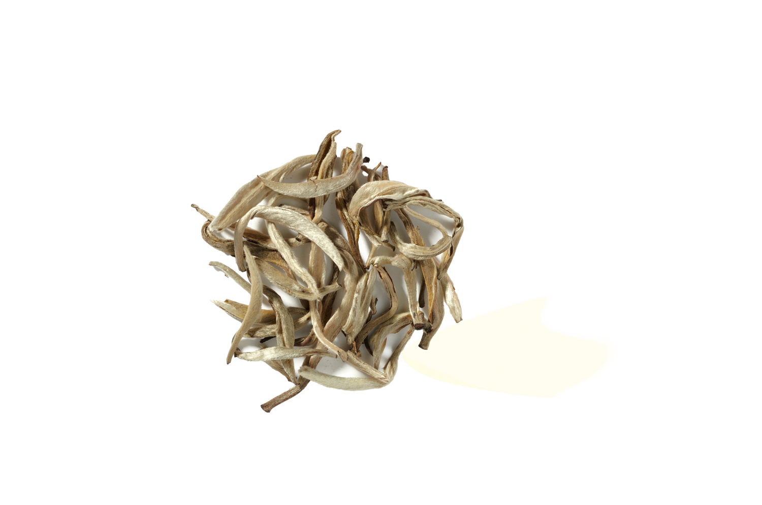 white tea leaf extract