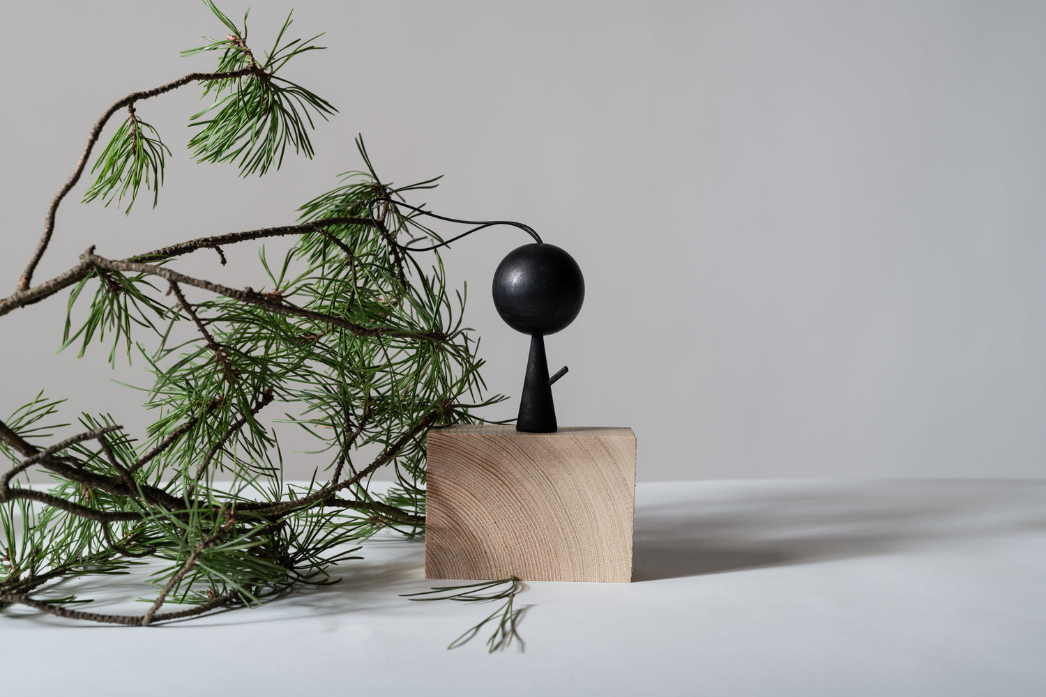 Pine scent tree, black