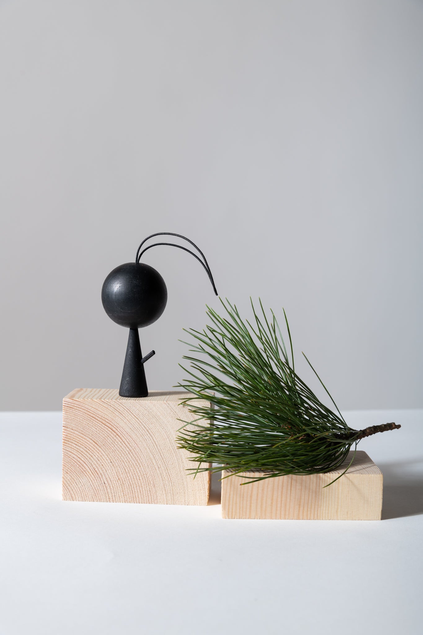 Pine scent tree, black